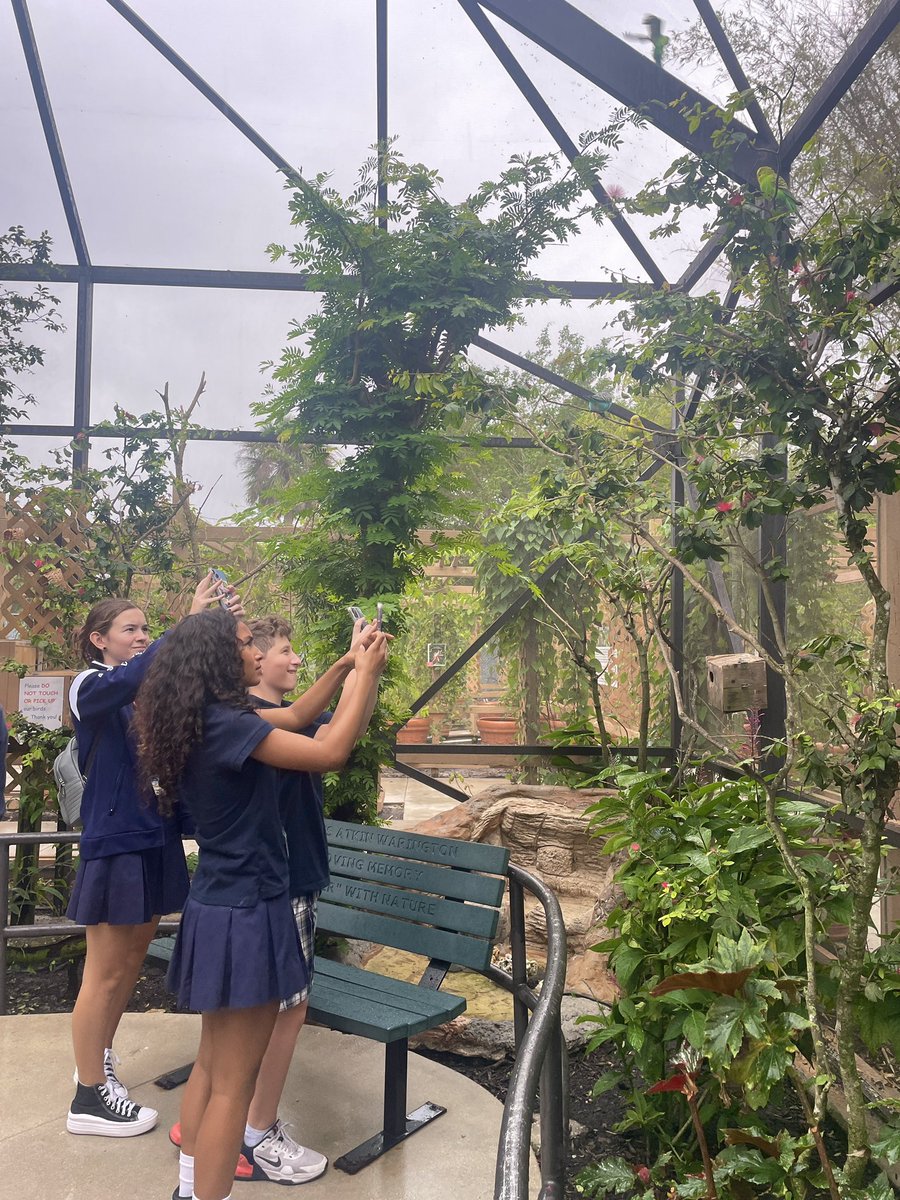 STEAMwithYsa's tweet image. Did you know that @CoconutCreekFLA is the butterfly capital of the world?
Today we explored and took photos of these breathtaking creatures with our students ๐ฆ