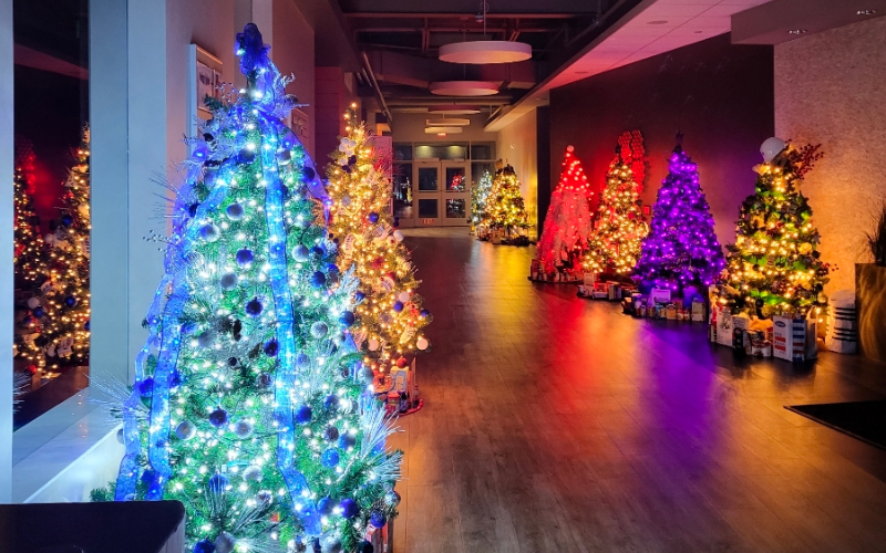 Times running out. Make your plans for Festival of Trees.
bit.ly/475Gb0v
Have holiday events? Be sure to add them to the Calendar on McHenryLife.com for free!
<a href="/McHenryChamber/">McHenry Area Chamber</a>
#McHenryLife #McHenryCounty #McHenryIL #Christmas #charityevent