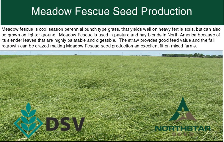 DSV Northstar (@dsv_northstar) on Twitter photo 