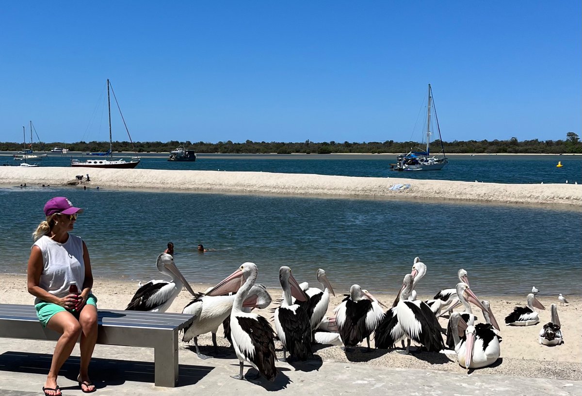 Politely requesting the Aussie pelicans to open up so I can check for possible Nemo confinement 

#AuthorsOfTwitter  #behindthepages #writer #writersoftwitter  #findingnemo #nemo #pelican #writerslife #WritingCommunity