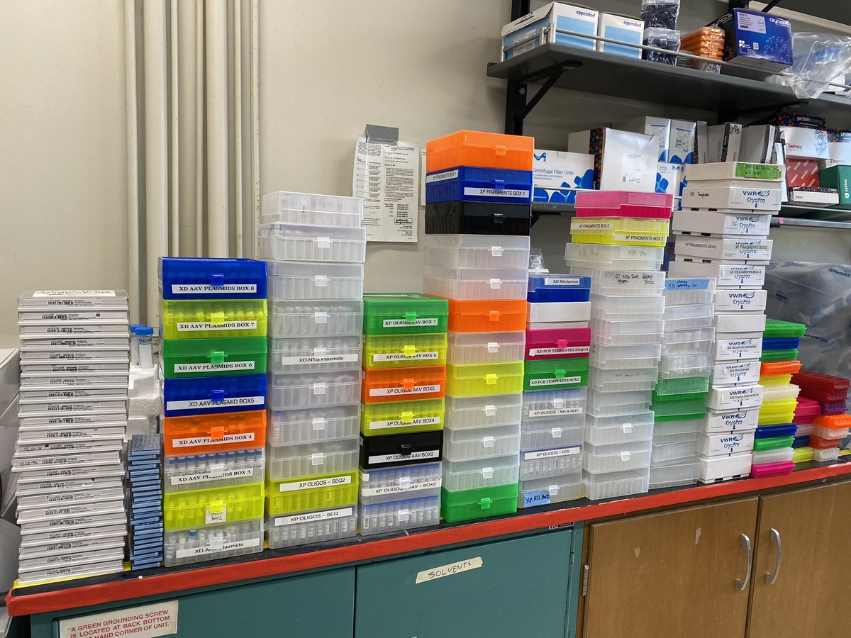 A PhD of tubes 😅