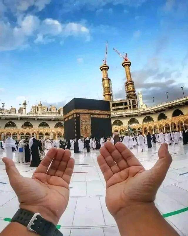 🌻السلام علیکم ورحمتہ اللّٰه وبرکاتہ🌻

🤲🏻 فکر مندی اور غم سے نجات کی دعا

نبی کریم ﷺ کہتے تھے
اے اللّٰه ! میں تیری پناہ مانگتا ہوں غم والم سے، عاجزی سے، سستی، بزدلی، بخل، قرض چڑھ جانے اور لوگوں کے غلبہ سے۔

(صحیح بخاری-6369)
🌹صبح بخیر🌹

#نماز_قائم_کرو 
#خاتم_النبیین_محمّدﷺّ