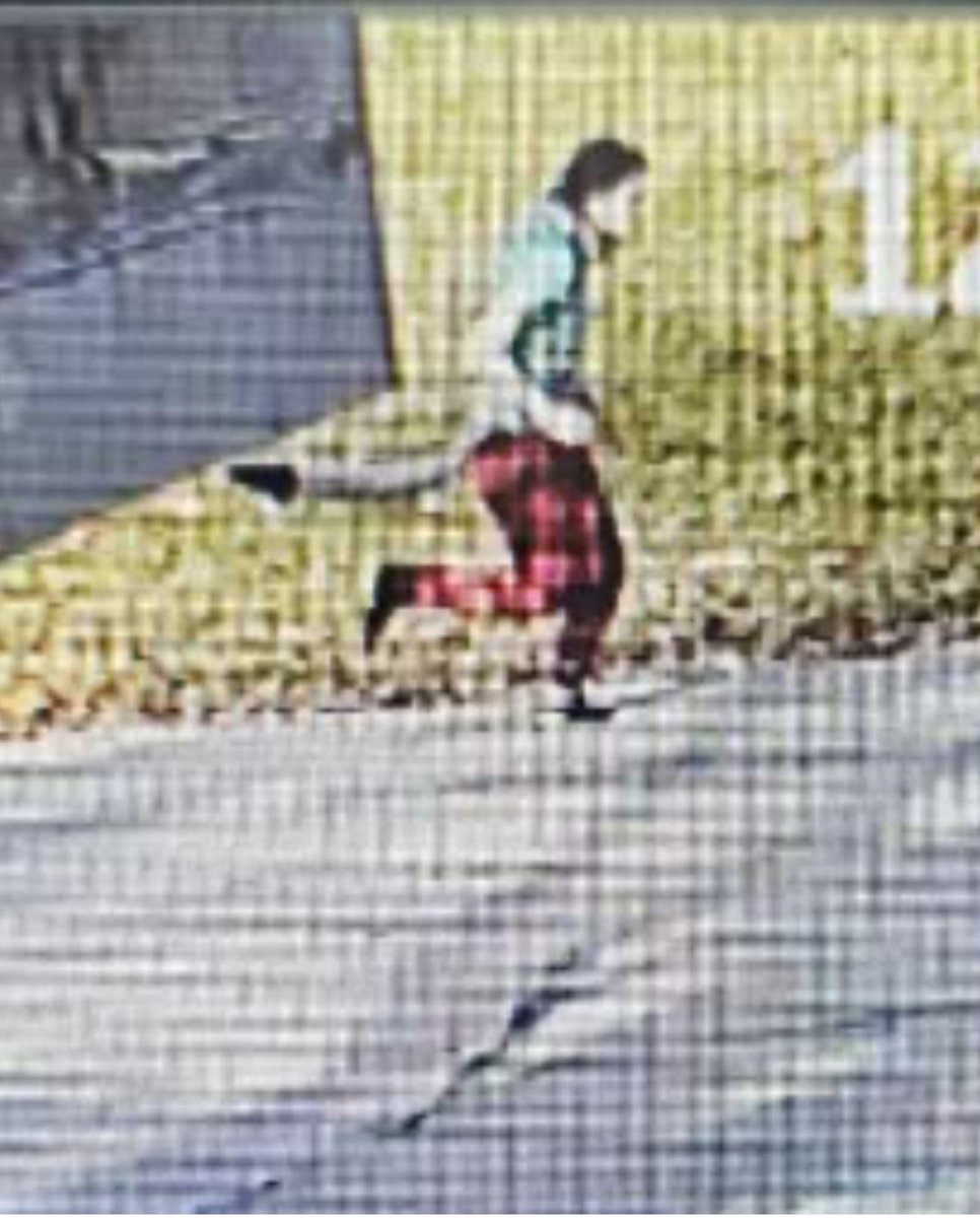 🚨MISSING PERSON: LILLYANA WHITE, BROWN HAIR, BROWN EYES, LAST SEEN IN A GREEN AND BLACK PLAID VEST, RED AND BLACK PLAID PAJAMA PANTS WITH A GREY AND BLACK CAT TAIL, UNKNOWN SHOES CARRYING A BLACK HOODIE IN THE AREA OF 6100 N JEFFERSON ST. IN KANSAS CITY, MISSOURI ON FOOT.