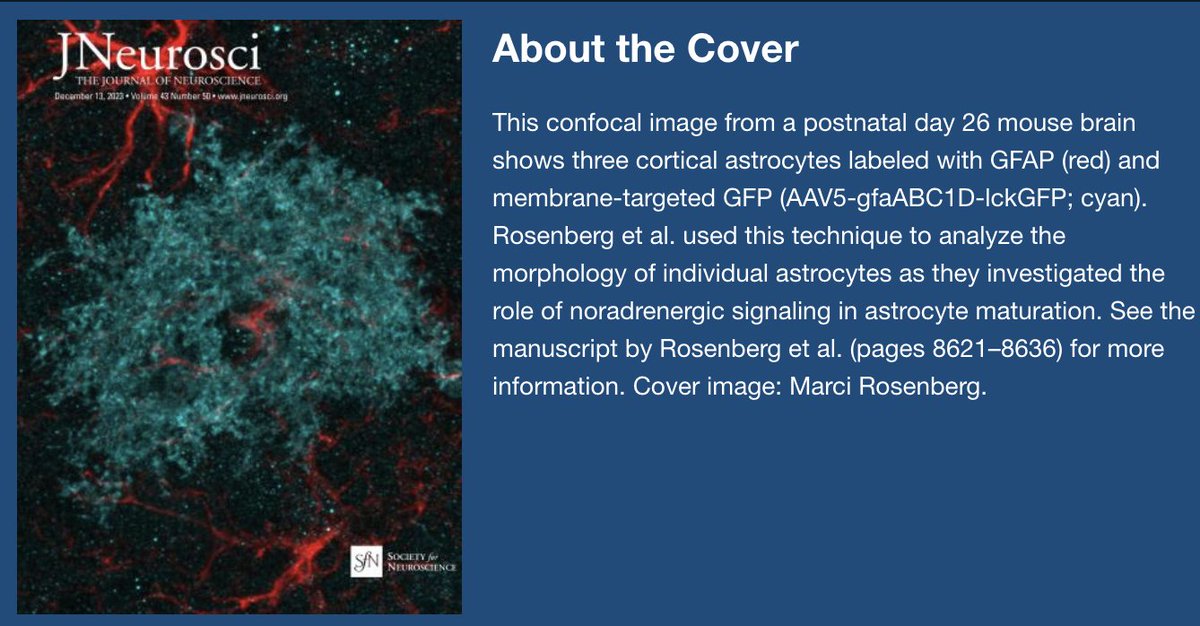 Marci Rosenberg (@marcifrosenberg) on Twitter photo Delighted to share my PhD work, now published in its final form at #JNeurosci <a href="/SfNJournals/">SfN Journals</a>! (And we made the cover 🤩) Link: jneurosci.org/content/43/50/… Delighted to share my PhD work, now published in its final form at #JNeurosci <a href="/SfNJournals/">SfN Journals</a>! (And we made the cover 🤩) Link: jneurosci.org/content/43/50/…
