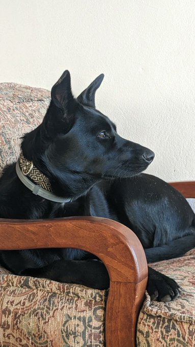 Chica's Glow Up https://t.co/PufxTcdKdB