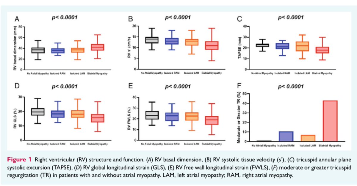 This Mayo Clinic study on 476 #HFpEF patients reveals crucial insights: 

Only 26% had no atrial #myopathy, while 31% had isolated LA myopathy, 39% biatrial, and 4% isolated right atrial (RA). 

Biatrial myopathy linked to worse outcomes: more #AFib , left and right ventricular