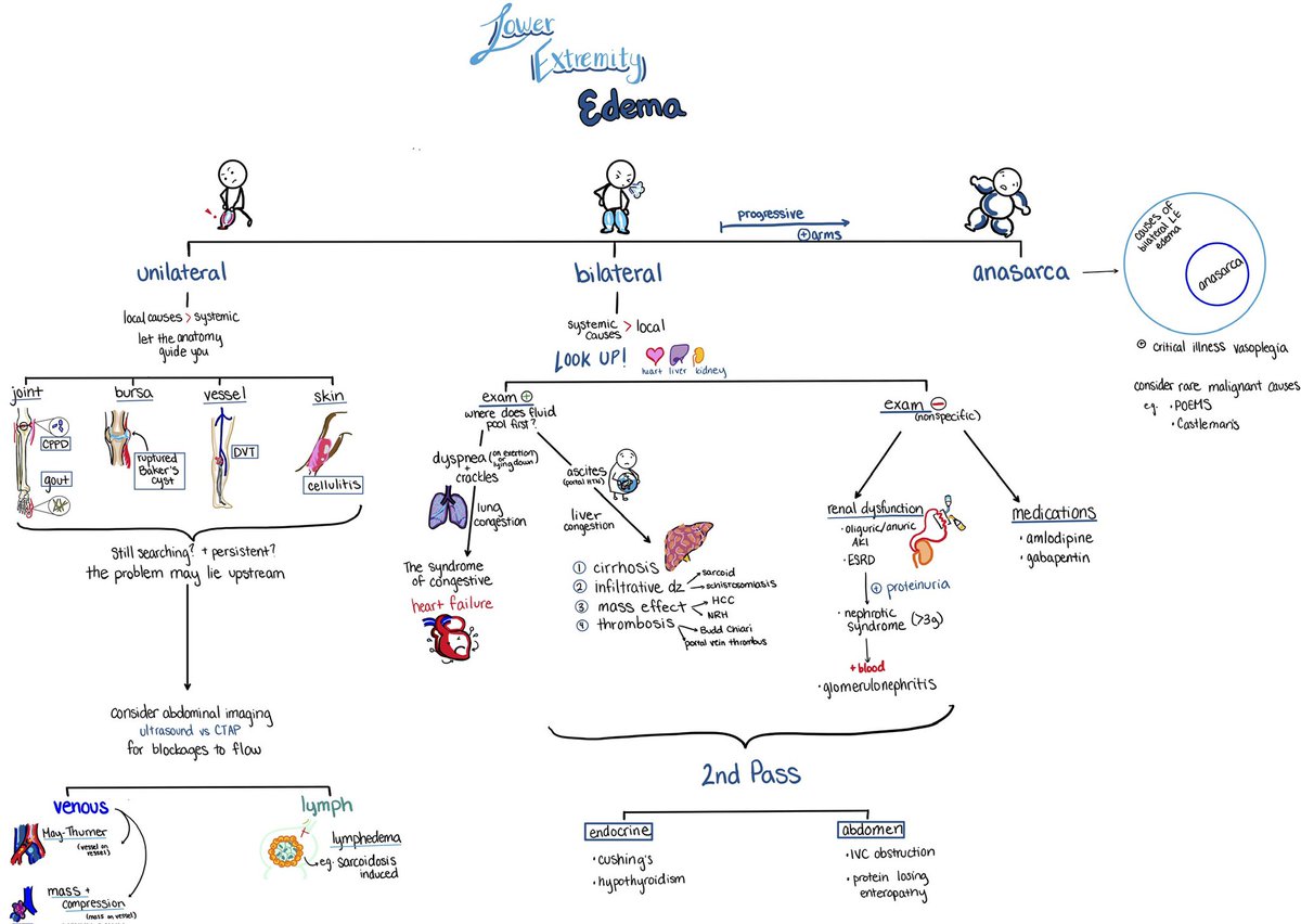 Kara Lau (@ytk_lau) on Twitter photo Hey #MedTwitter, long time no see. Hopefully this one’s a diamond in the *puff* 😮💨
Don’t get too out of breath, here comes the Lower Extremity Edema Thought Train!
Thoughts and feedback?
<a href="/CPSolvers/">The Clinical Problem Solvers</a> @DxRxEdu <a href="/rabihmgeha/">Rabih Geha</a> Hey #MedTwitter, long time no see. Hopefully this one’s a diamond in the *puff* 😮💨
Don’t get too out of breath, here comes the Lower Extremity Edema Thought Train!
Thoughts and feedback?
<a href="/CPSolvers/">The Clinical Problem Solvers</a> @DxRxEdu <a href="/rabihmgeha/">Rabih Geha</a>