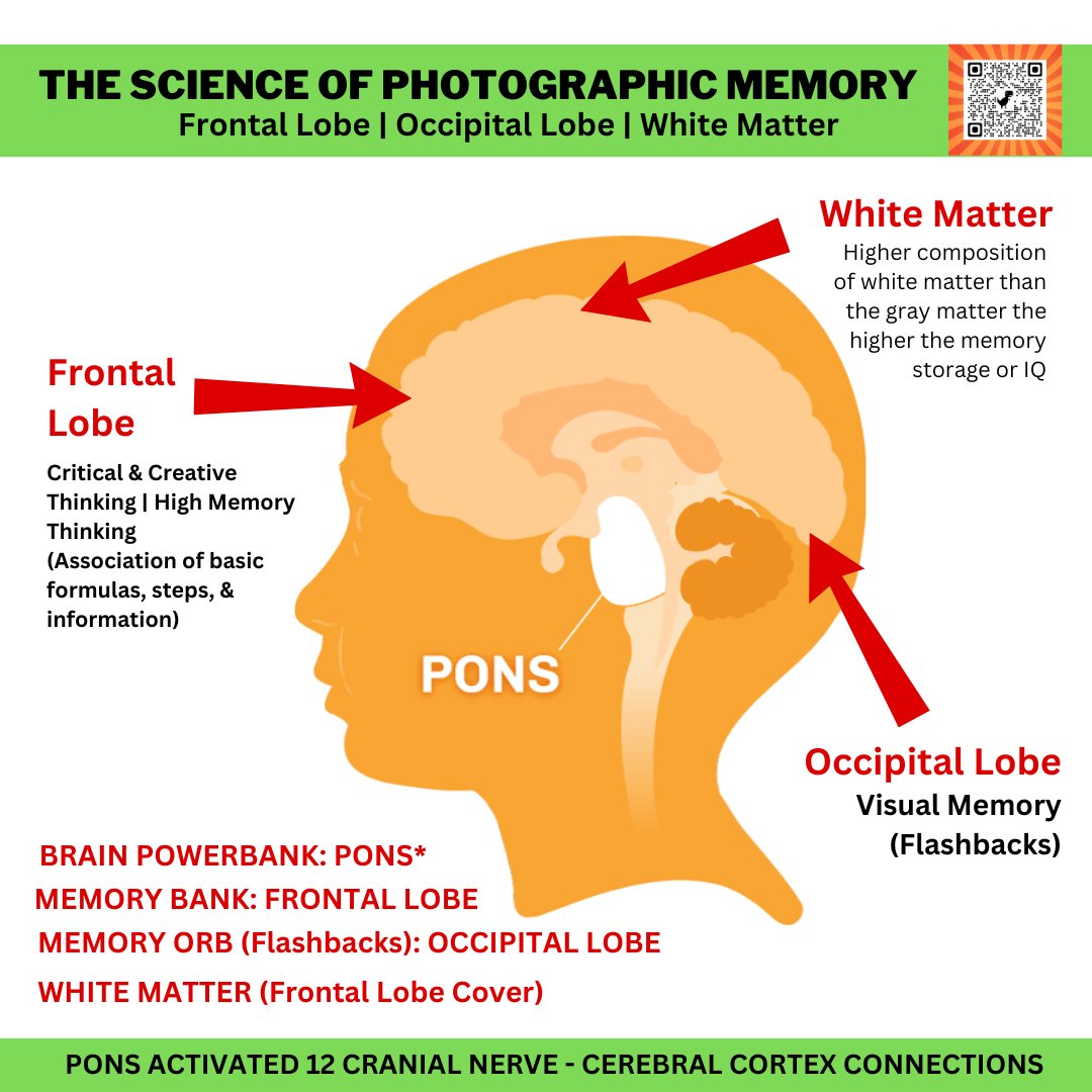 RESEARCH FRAMEWORK: THE SCIENCE OF #PHOTOGRAPHIC #MEMORY IN THE HUMAN BRAIN 🧠
.
.
.
#ScribeDiaryPen
#SDPTheHumanBrain
#TheHumanBrain
#PhotographicMemory