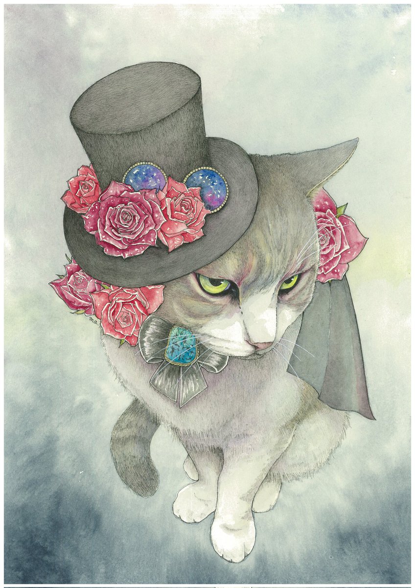no humans hat flower rose cat animal focus top hat  illustration images