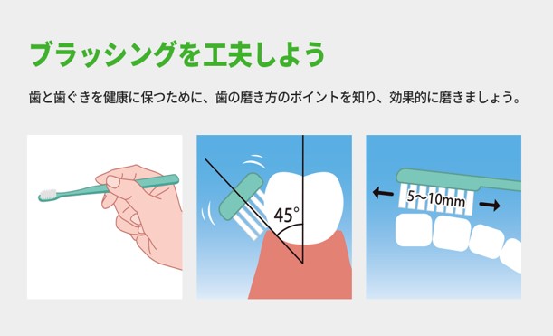 生葉【公式】 tweet media