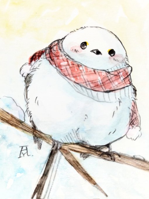 「plaid scarf snow」 illustration images(Latest)