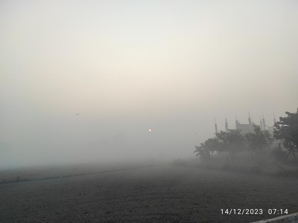 bdribrl's tweet photo. Winter in Tarai #Nepal @Birgunj do you see the Sun? https://t.co/0MuQgg1ar6