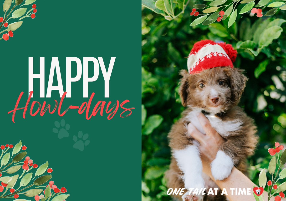 Brighten the season for pets in need and those you love! Choose from our festive donation opportunities to send a personalized gift donation while supporting pets in need this holiday season with holiday e-cards -> onetail.org/holidays2023