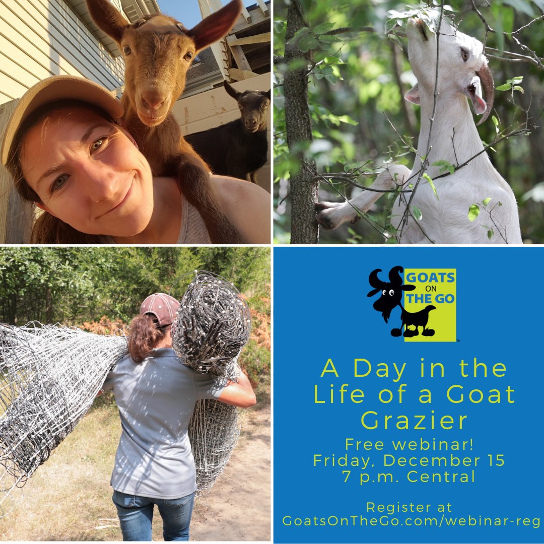 You can own a goat grazing business! Learn what it's like to be a goat grazing affiliate with Goats On The Go® with this free webinar this Friday (December 15) at 7 p.m. Register at bit.ly/3tgAdLG.  #goatgrazing #goatrental #targetedgrazing #goatscaping