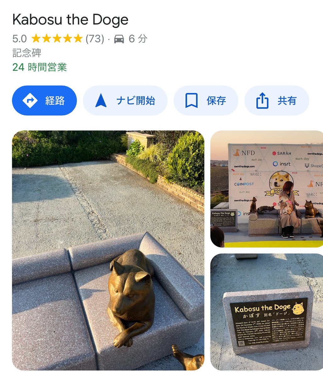 Google mapsで Kabosu the Dogeと検索すると かぼちゃんのモニュメントの位置が出ます😊 いったい誰がスポット登録してくださったのかしら❓ 感謝です💓