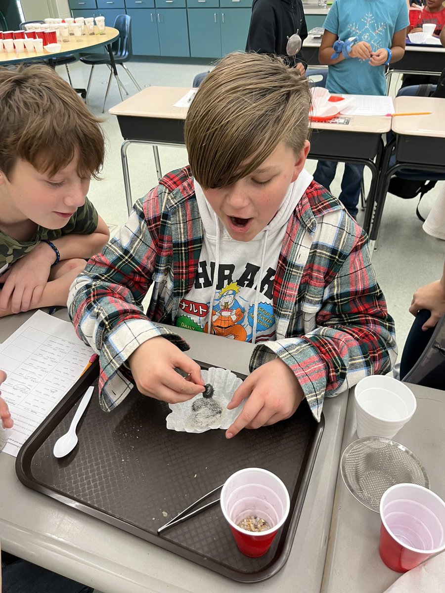 naghdi_emily's tweet image. Reactions like these are why I love teaching science! 🤩 Kids were challenged to separate mixtures using various tools. This is the moment two students realized how to separate iron filings from sand! #vcsscientists