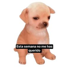 literal