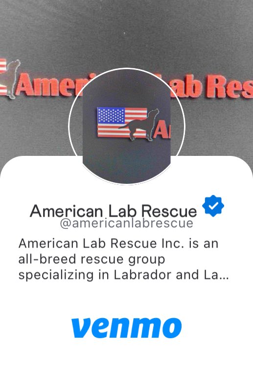 KellyMoore1586's tweet image. #HappyBirthdayTaylorSwift #TaylorSwiftChallenge In honor of Taylor’s birthday, please consider donating $13 to American Lab Rescue and mention our foster dog Mabel who tore her ACL and needs surgery. venmo.com/u/americanlabr… #moneyformabes