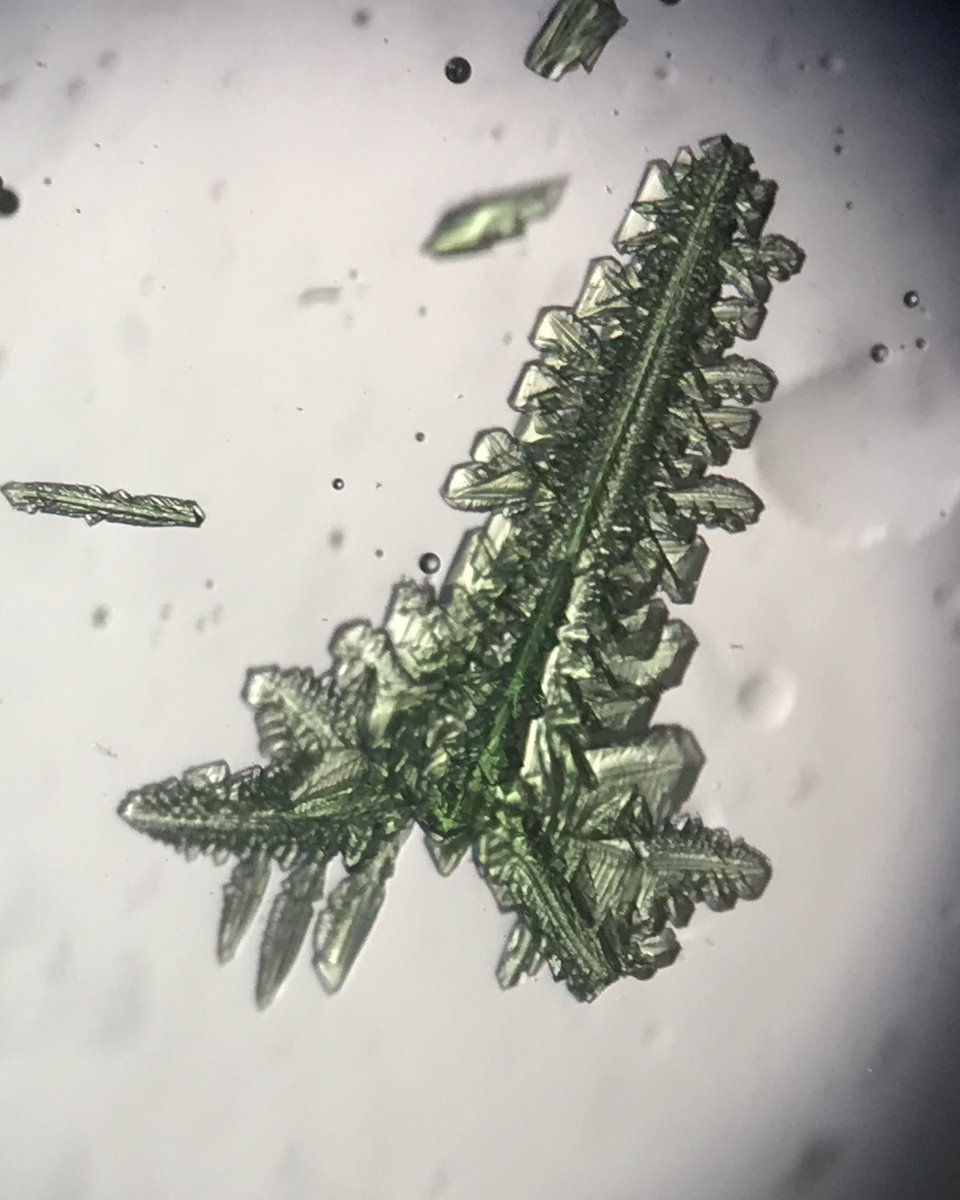 5 years ago today with the help of many, I isolated the californium mellitate xmas tree. Still definitely a top 3 crystal I have ever seen especially due to the timing of the year. It alone was so radioactive it damaged the glass slide it was on.