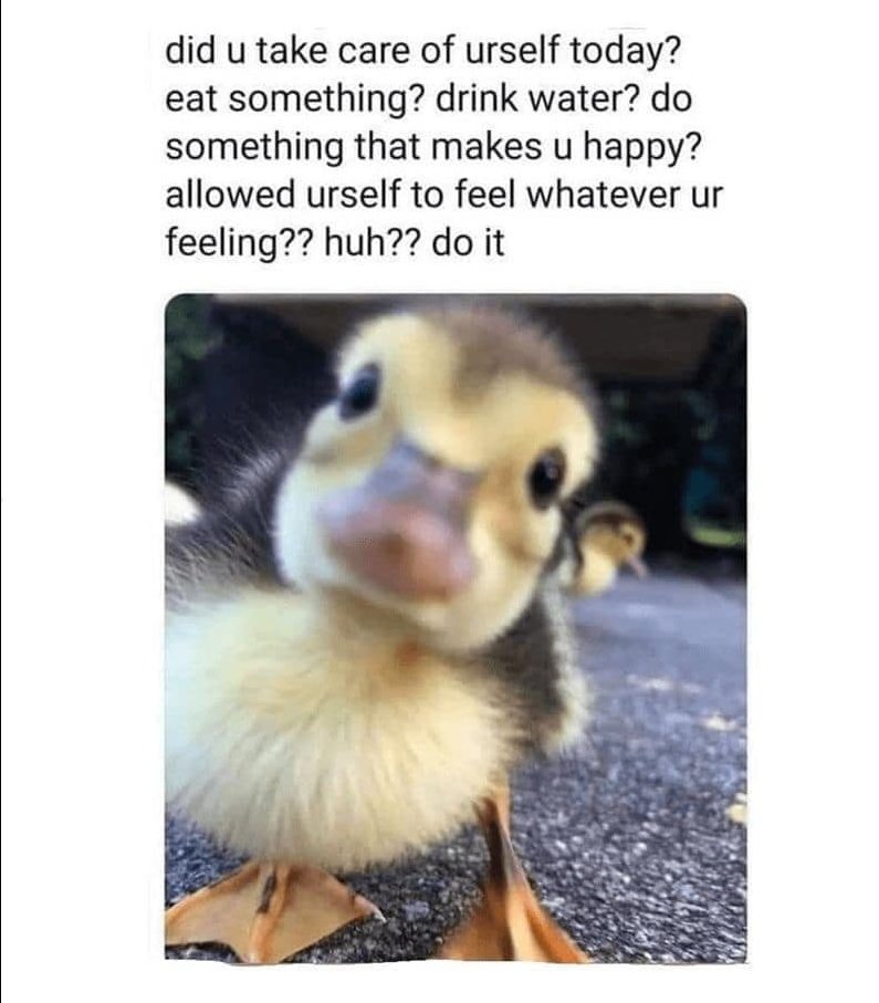 ✨ Embracing holiday joy, but let’s also recognize the challenges—loss, strained relationships, and stress. Self-care might be last on the list for those in the homelessness-serving sector, but it's vital. Here's a cute duckling to brighten your day and a reminder: you matter! 💛