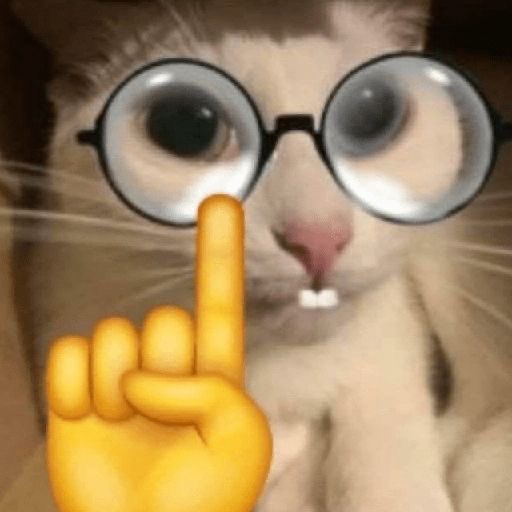 noah | viu o riize tweet media