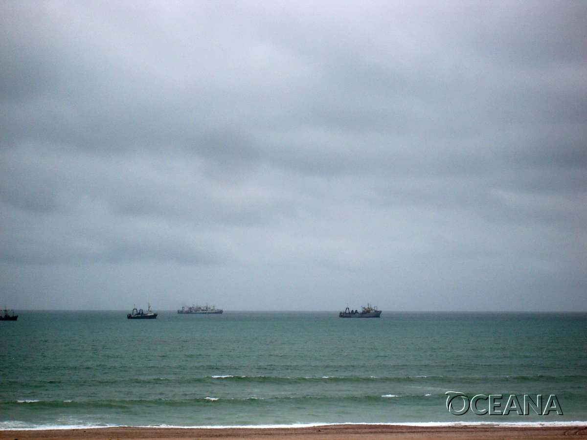 BREAKING‼️ Spain sanctions 25 fishing vessels for disabling their mandatory location trackers, following an <a href="/oceana/">Oceana</a> investigation. These devices are mandatory in the EU to promote transparency in fishing activity and ensure safety at sea. Read more 🔗
europe.oceana.org/es/press-relea…