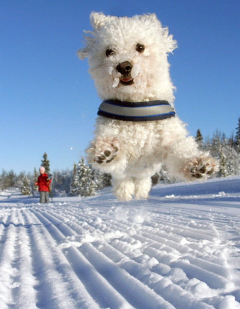 🌺🌲❄️🌞🌺🌲❄️🌞🌲🌺 Good morning dear Friends and a beautiful Thursday.🤗🍀☕️🌺🤎