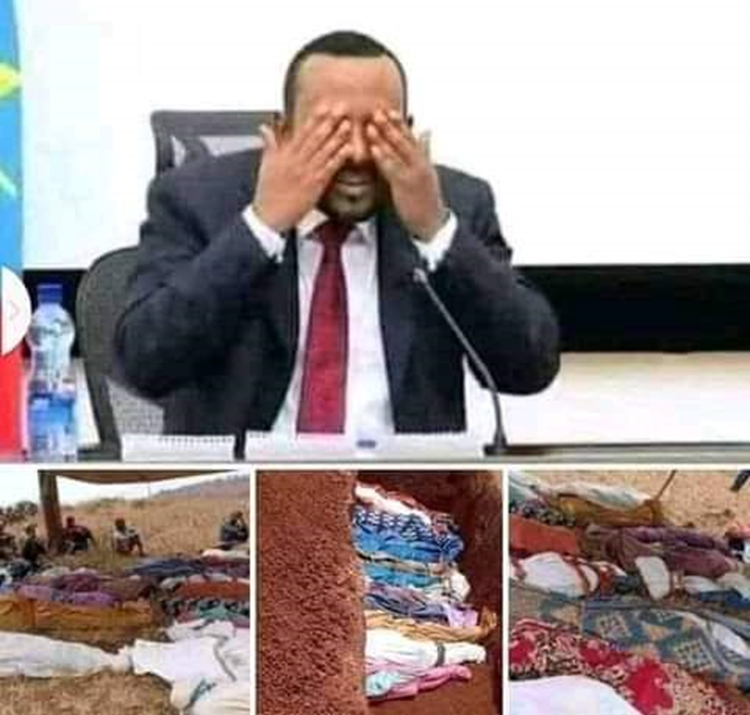 “ለህዝብ ችግር ደንታ የሌላቸው፤ ሚሊዮኖች ተፈናቅለው ሜዳ ላይ እየተራቡ ቅንጡ ቤተመንግሥት የሚገነቡ፥ የአበባ ልምላሜ የሚያስደስታቸው፤ ስለ ዜጎች ሞት ሲወራ ሟርተኛ የሚሉ፥ ሰላም የማይፈልጉ ጦረኛ መሪ ናቸው” አቶ ታዬ ደንዳኣ ከመታሠራቸው በፊት