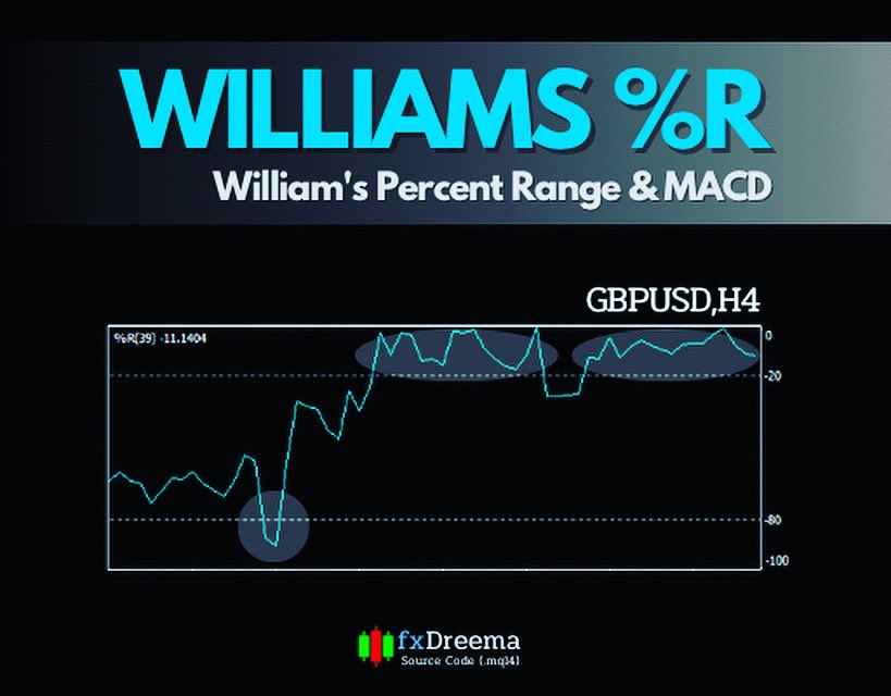 Shirobotfx's tweet photo. EA Robot - William's Percent Range Trading System

https://t.co/Kq9sQFVfci

*This source code is only learning example*

#fxdreema #forex #expertadvisor #forexeducation #mql4 #mt4 https://t.co/6svUB9RZHf