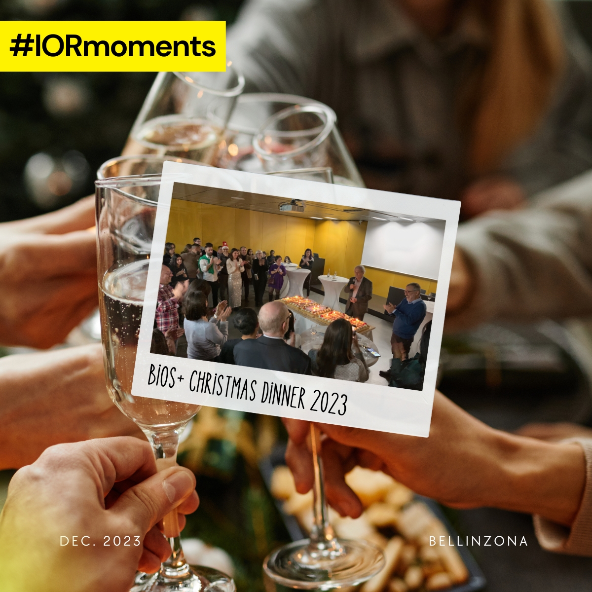 Institute of Oncology Research (IOR) (@ior_bellinzona) on Twitter photo #IORmoments
🥂🎄Memories of our Bios+ Christmas dinner, where colleagues from the IOR, IRB <a href="/BellinzonaIrb/">IRB_Bellinzona</a> and Laboratories for Translational Research EOC <a href="/EnteOspedaliero/">Ente Ospedaliero Cantonale</a> celebrated the season and our collective achievements.
💫Looking forward to a successful 2024! #IORmoments
🥂🎄Memories of our Bios+ Christmas dinner, where colleagues from the IOR, IRB <a href="/BellinzonaIrb/">IRB_Bellinzona</a> and Laboratories for Translational Research EOC <a href="/EnteOspedaliero/">Ente Ospedaliero Cantonale</a> celebrated the season and our collective achievements.
💫Looking forward to a successful 2024!