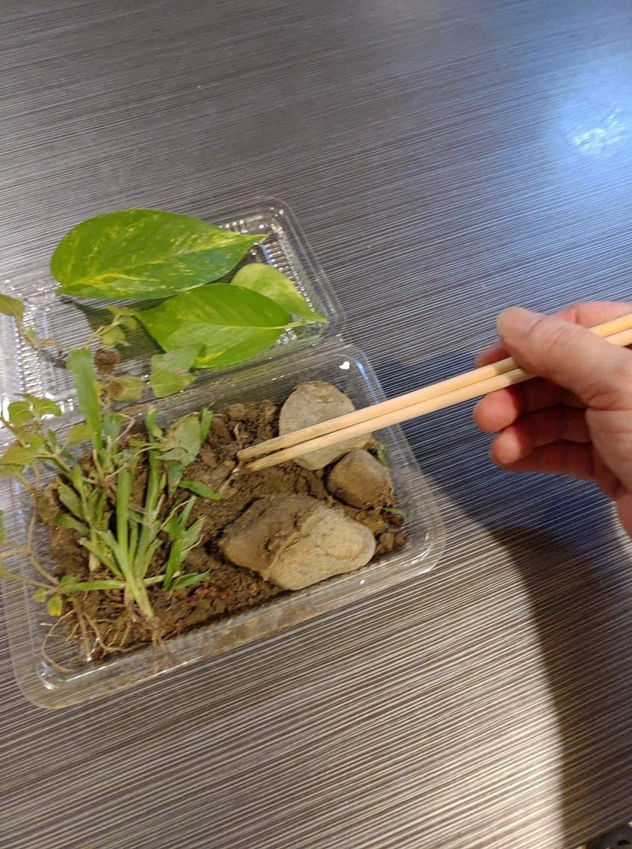 Các cụ cứ đồn là đêm qua Pay, nhưng vẫn là cái nịt hình tròn như số 0. Thế này thì đúng là cạp đất ra mà ăn thật 😂😂😂
Cá còn nhiều lắm nhưng cũng lại không thích đi câu nữa rồi