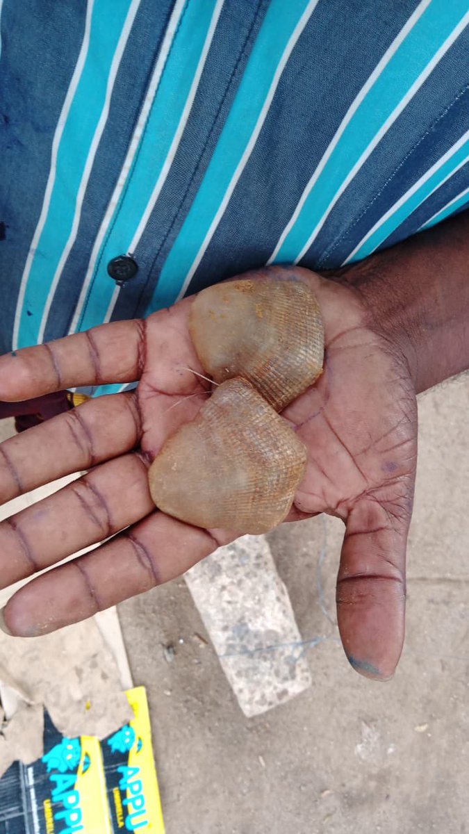 Supriya Sahu IAS tweet media