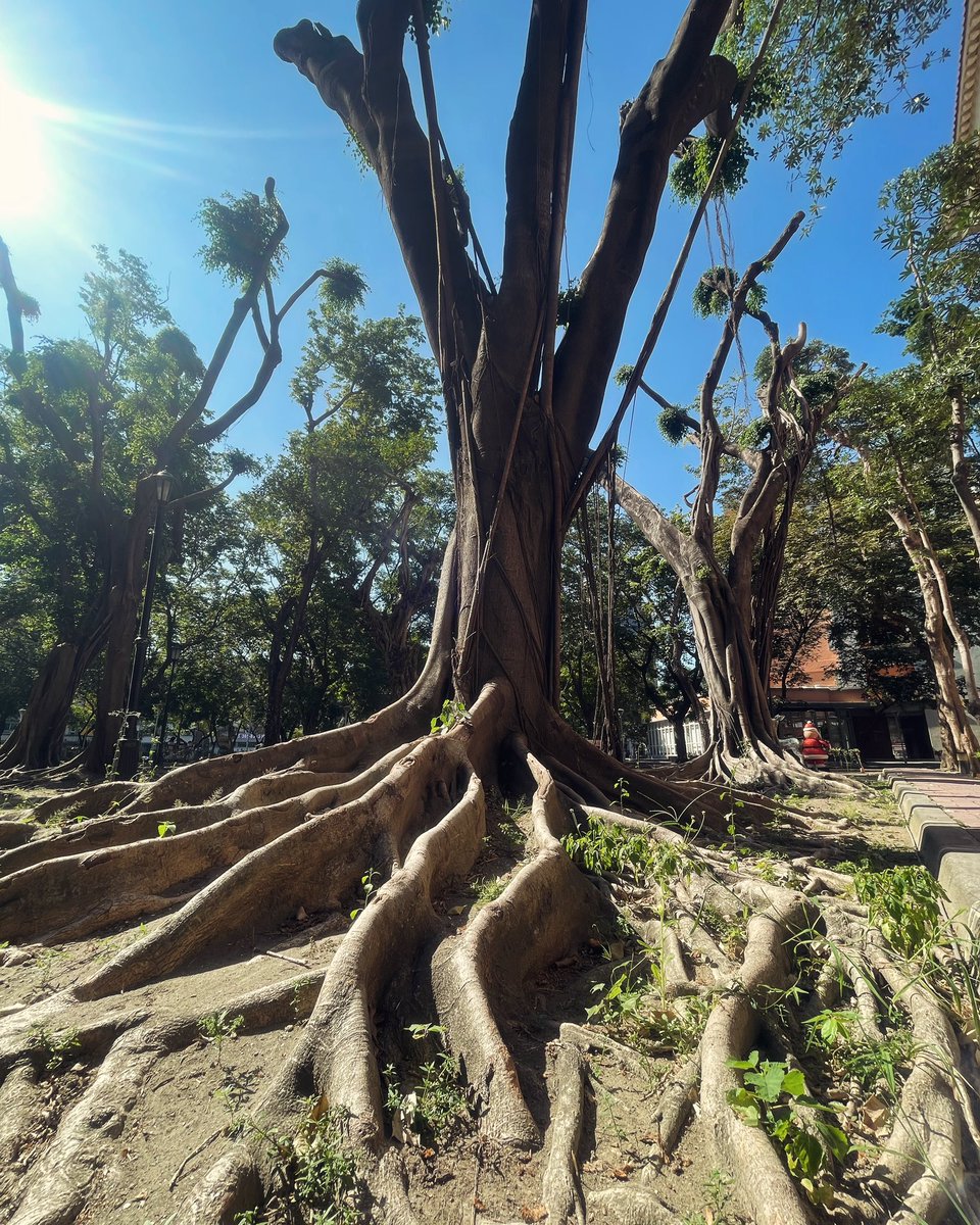 Seisharing's tweet image. #stm #nkust #kaohsiung #taiwan