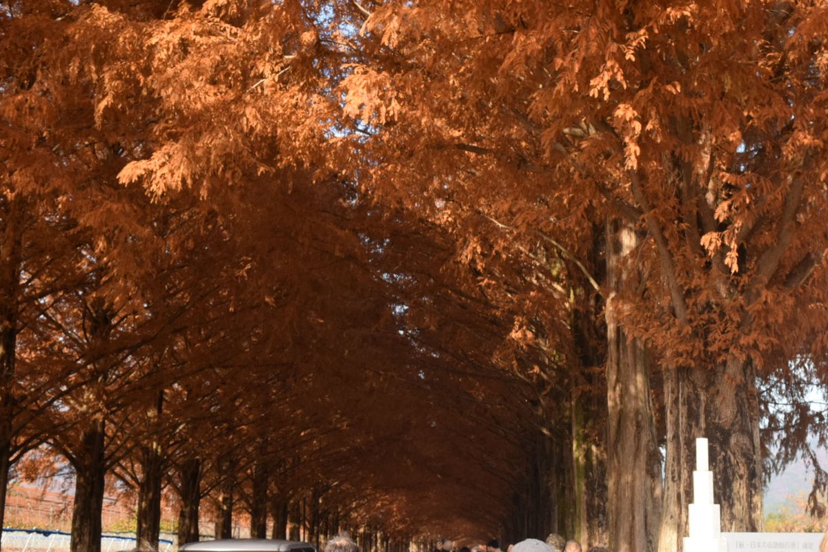 人凄い。。そして、時代かな？動画撮ってる人が多かった。