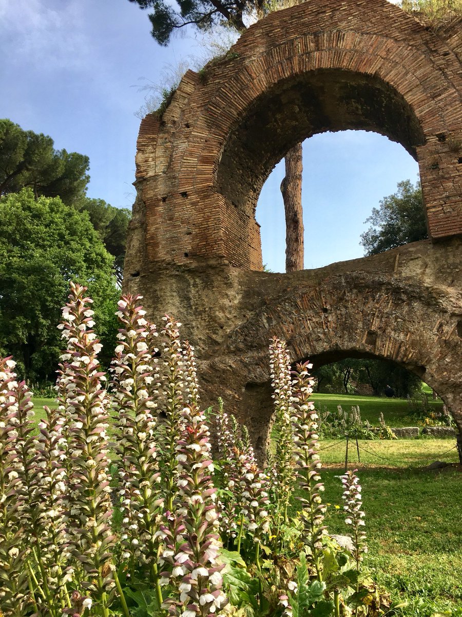 Un frammento dell'Aqua Claudia che Domiziano fece costruire a servizio del #Palatino #Roma 🤍 #Rome