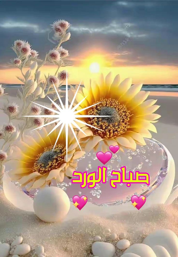 @Alaayous3 @Ozlerntr @hdn_na @MrAlharbi13 @maha8321553 @linaassil_assil @Sabina78621 @mtxstong10 @mny0100 @ABR533 @1IZXIZ @GinaJardines @amr_snds5281 @FatimaSchmitt2 @foz3x3 @_HZTT @MonaAli1165404 @rwan1144100 @SsaSM7 @eman14061402 @Elvira57538981 @ZoryAntequera