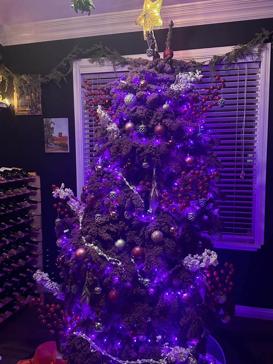 Gem_Asteria's tweet photo. The Holidays with Gem - 2023 🍾 

The sugar plum fairy tree 🌲 🧚🏾‍♂️ https://t.co/pLmXvN1L5S