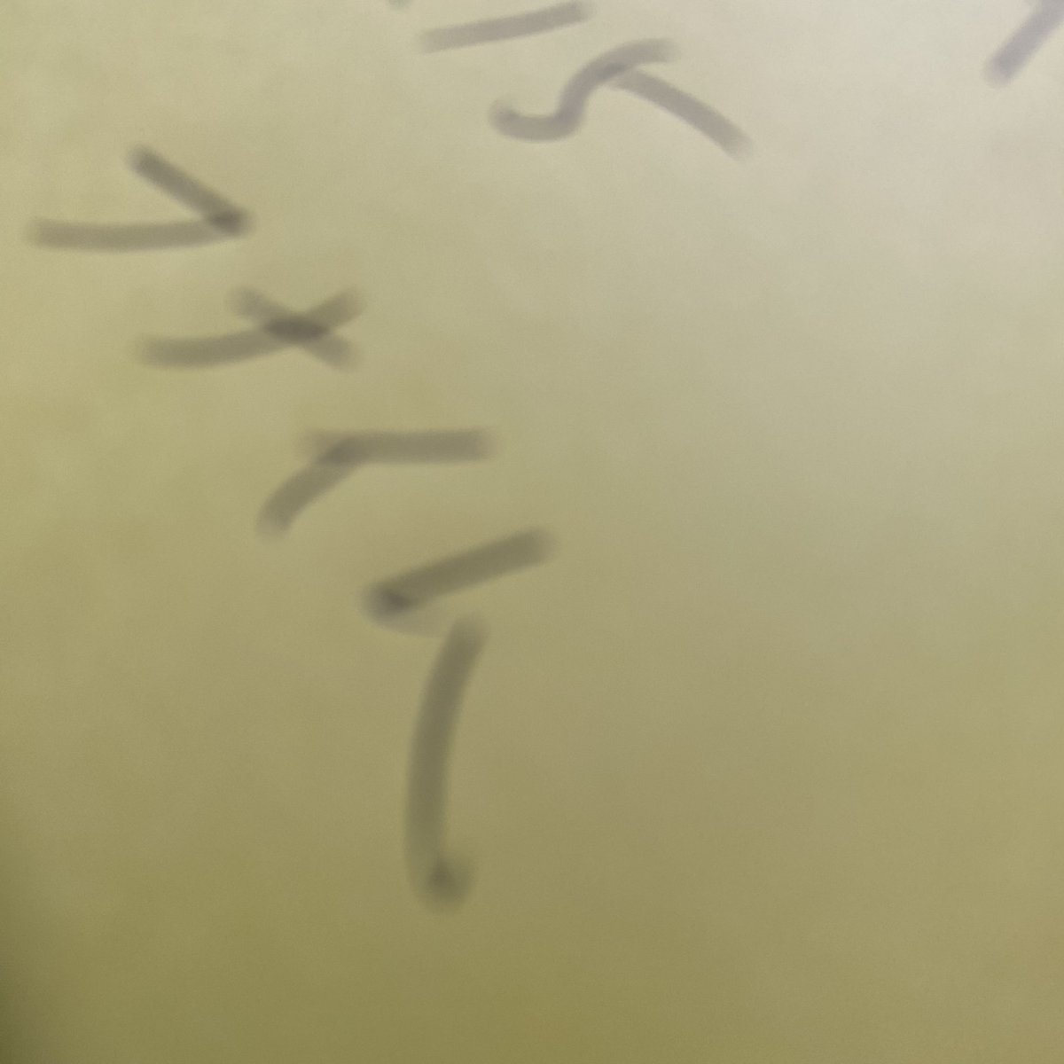 誰が分からん人からスマートレターが届いた
そこには「現金は送ることができません・・」
そんな文字が書かれていた
中を開けたら現金でなく@funaim5 フナイムさんの本でした
これだけのボリューム書かれていてビックリな上に
フラゲなのですがサインまで頂きました
https://t.co/LUDR5nTUTu…