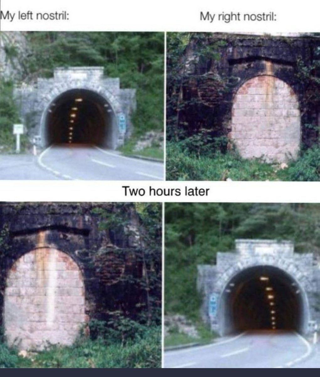 <a href="/PicturesFoIder/">non aesthetic things</a>