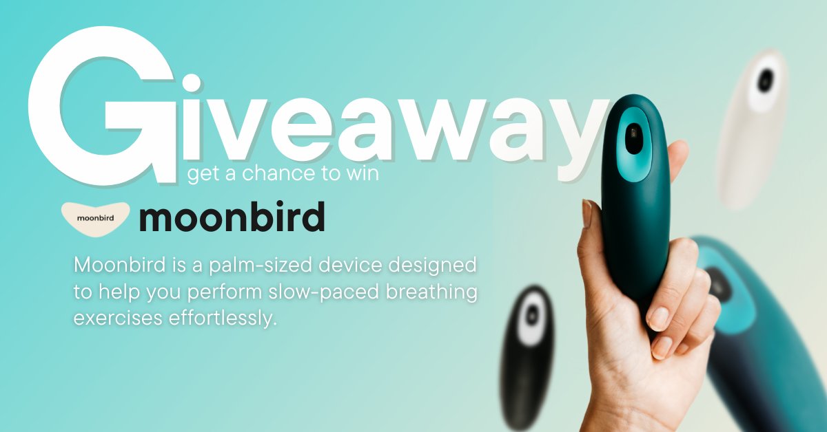 Gadget User tweet media