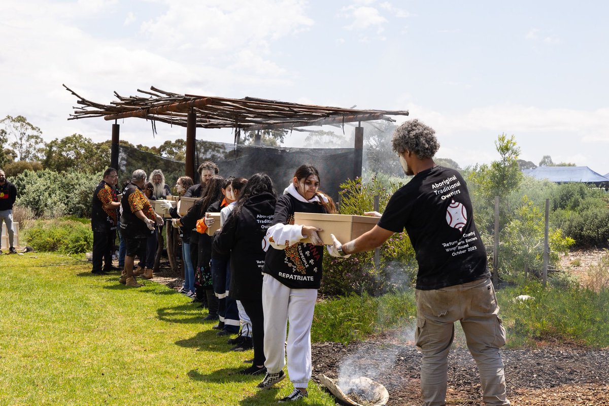 South Australian Museum tweet media