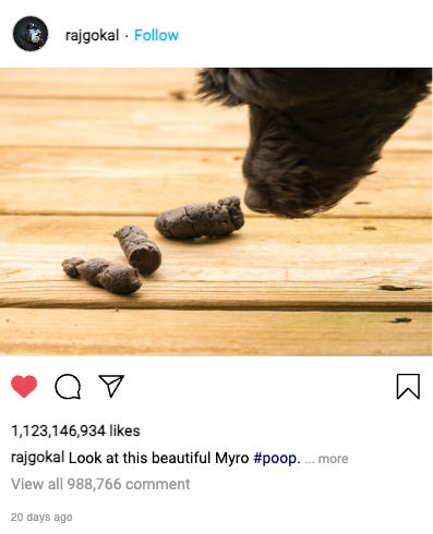 PoopySOL's tweet photo. @rajgokal Bro, can you clean up Myro's mess?
there is $poopy everywhere 💩 https://t.co/Z8Cg3nPydX