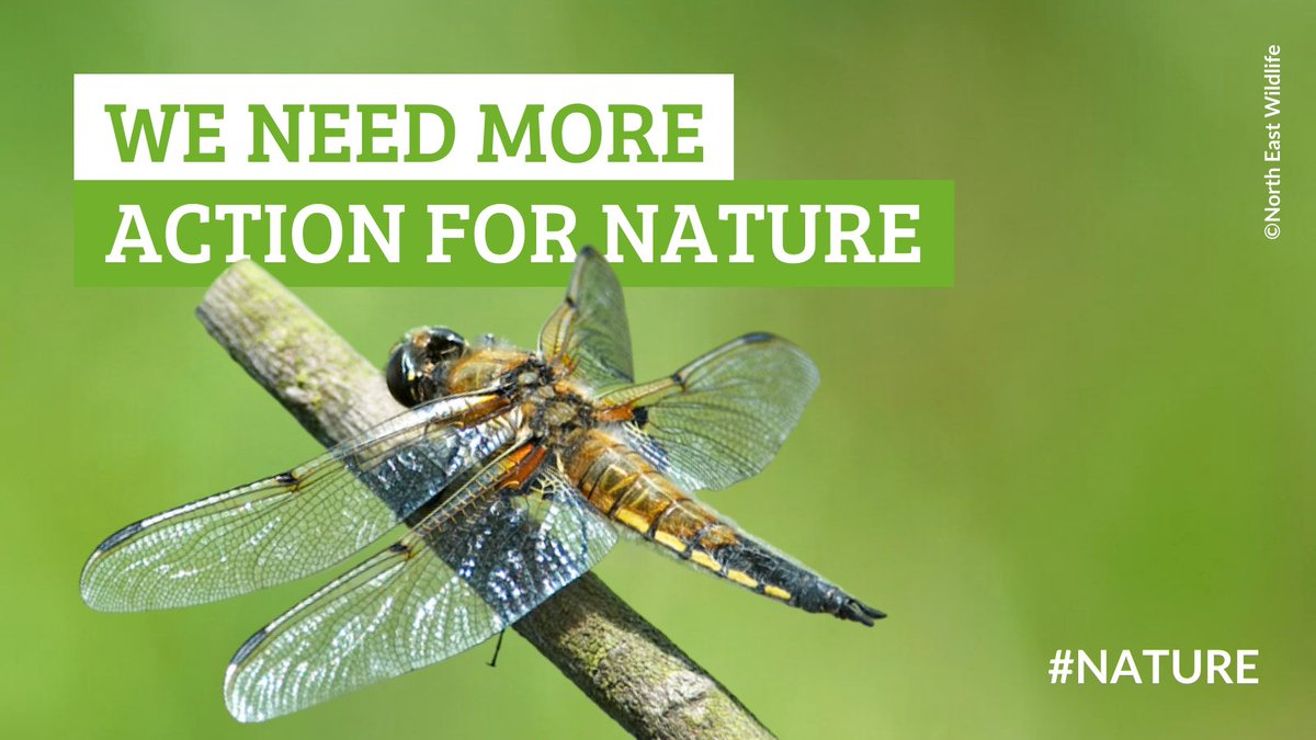One year on from #COP15 what progress has Gov made to meet its targets for nature? New analysis has found that 👇 👈11 targets have seen no progress or have gone backwards ❗️7 targets have seen progress (in very small amounts) Read more 👉wcl.org.uk/cop15-one-year…