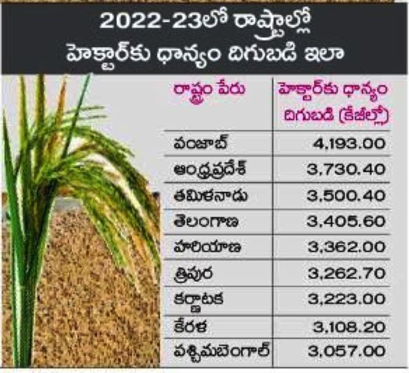 APStatistics4's tweet image. ధాన్యం దిగుబడిలో దక్షిణాధిలోనే నెంబర్‌ 1 స్థానంలో #ఆంధ్రప్రదేశ్‌. దేశంలో నెంబర్‌ 2గా #ఏపీ.హెక్టార్‌కు 3,730.40 కేజీల ధాన్యం దిగుబడి. #నాబార్డ్‌ అధ్యయన నివేదికలో వెల్లడి. #Telugu_News #TrendingNow 
 @naralokesh @PawanKalyan @YSRCParty 
#ap_top_in_south @apdigitalcorp @BJP4Andhra