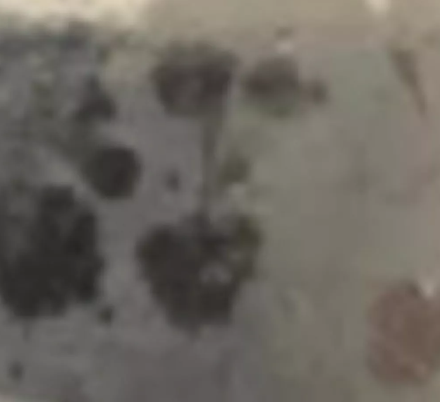 Rangers fan sees the ghostly image of former Ibrox goalie Allan McGregor in his toothpaste spit.   Really? #wtf #forth1