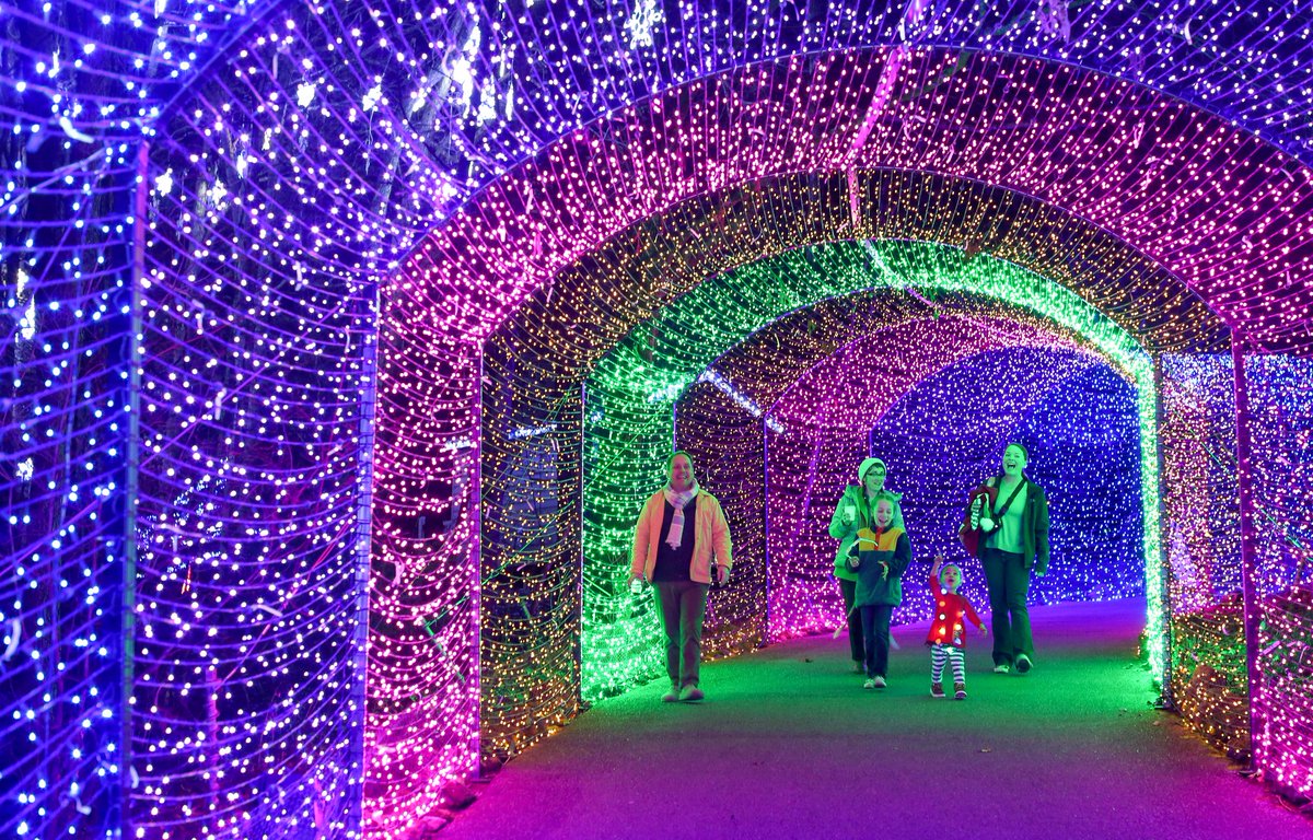 QinNerissa's tweet image. I like this tunnel, and we can produce.
#ledtunnellight #ledstringlights #leddecoratelights