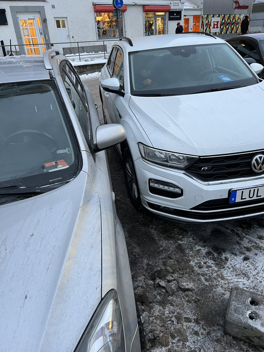 Kan vi bara ta en minut för att beundra detta mästerverk till parkering igår?