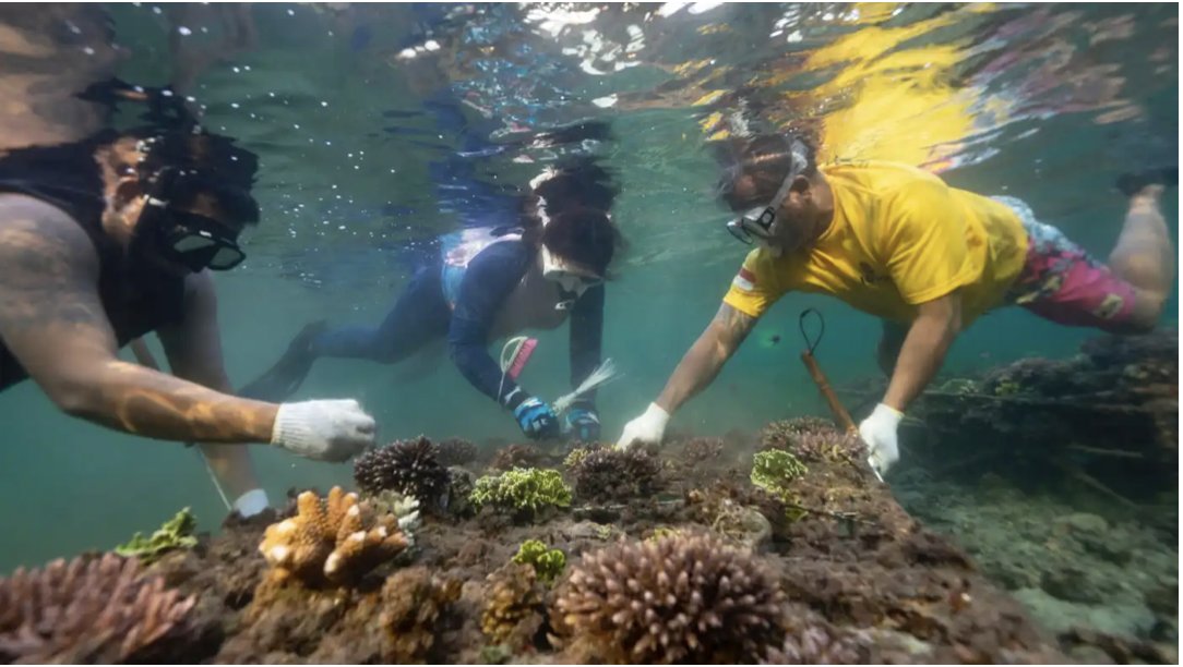 Exciting news! One of our bright spots at #COP28: launch of 1st reef insurance with <a href="/SwissRe/">Swiss Re</a> in partnership with Indonesian govt, funding from <a href="/DefraGovUK/">Defra UK</a> &amp; <a href="/ORRAAnews/">Ocean Risk and Resilience Action Alliance</a>. See <a href="/NikkeiAsia/">Nikkei Asia</a> article shorturl.at/ahAT6  for how we see it fits  development in a world of soaring risk