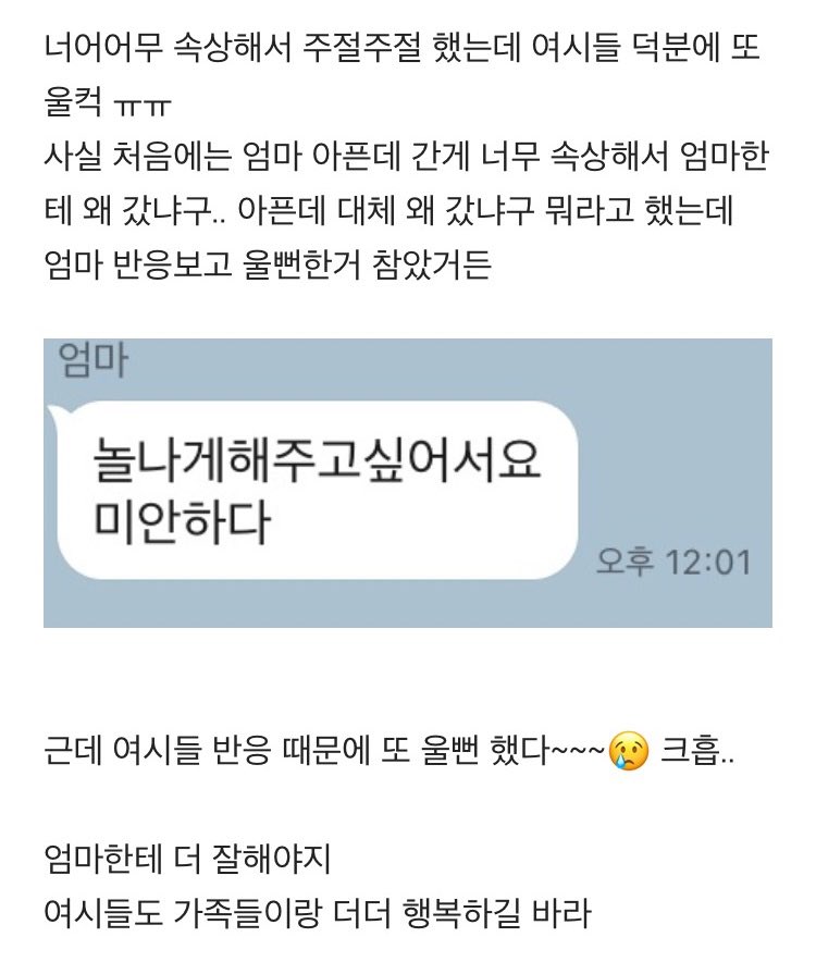 70대 엄마가 나 햄버거 하나 받아주겠다고 1시간 거리 왔다갔다 했는데 너무 속상하다