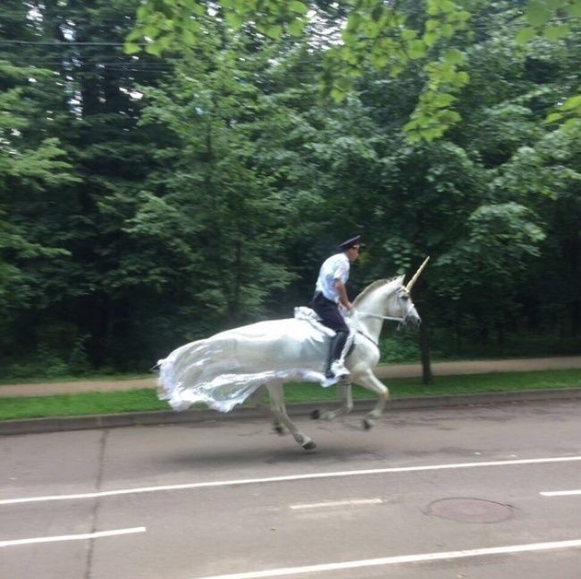 Padahal kapal yang ini udah jelas begitu, tapi votenya denial wkwkwk